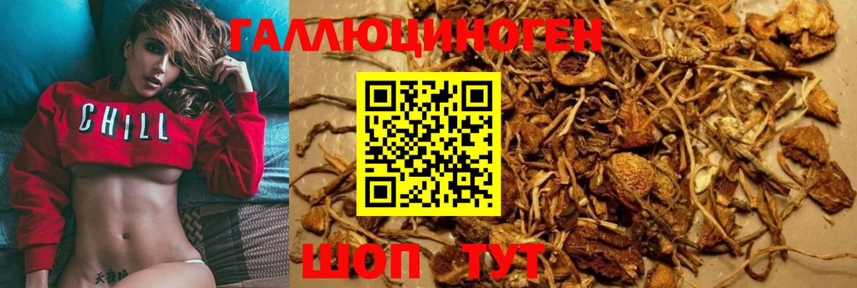 Псилоцибиновые грибы MAGIC MUSHROOMS Уварово